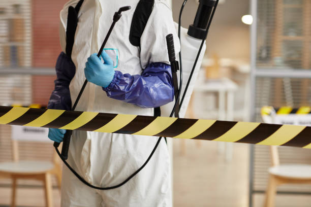 Professional Hoarding Cleanup technician working in Murphys, CA